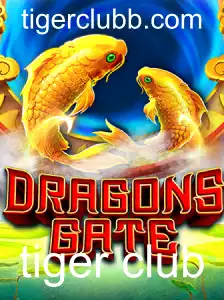 DragonsGate: Um Mergulho no Universo do Tiger Club